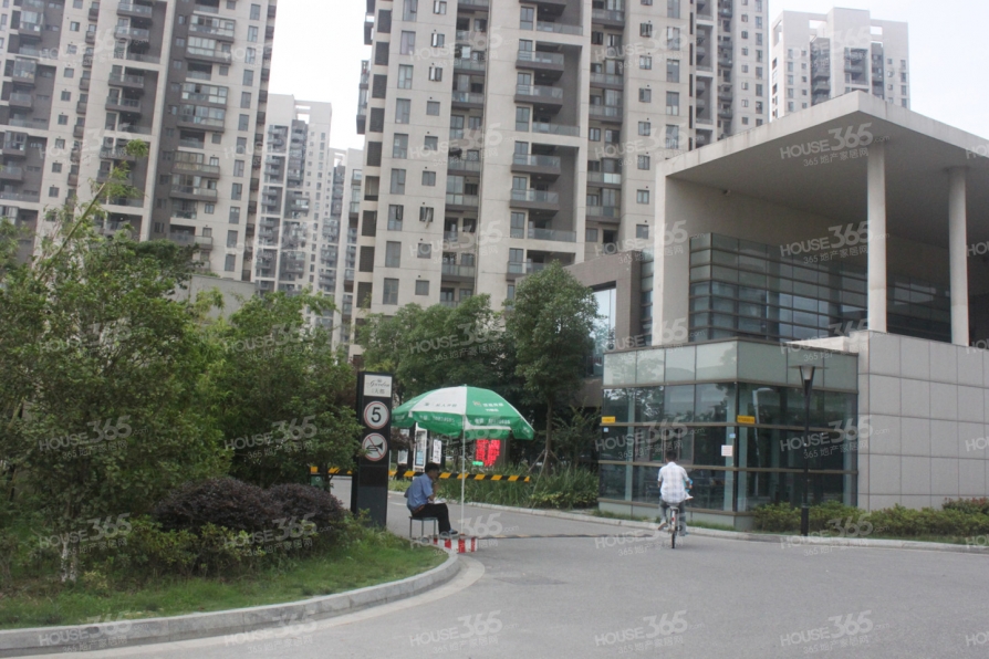 新港天都花园