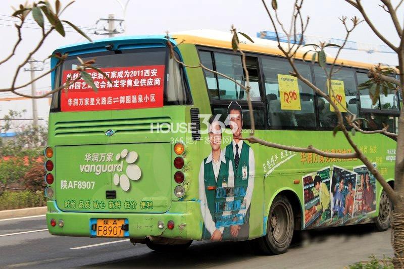大树小屋图片