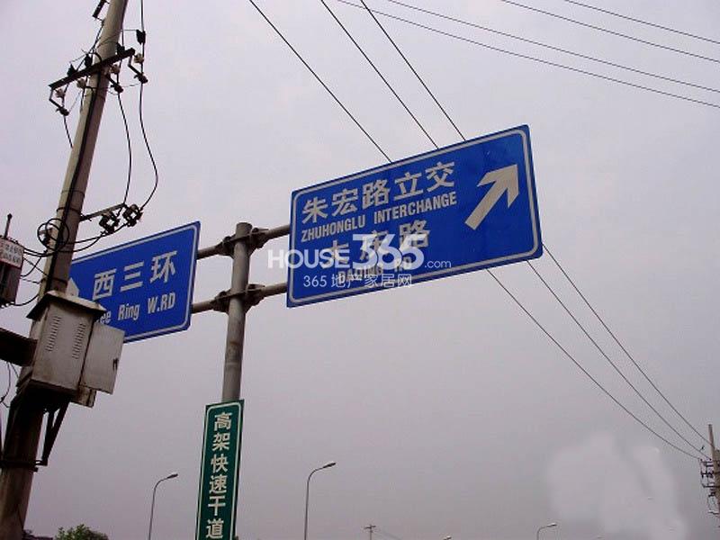 橡树可以种在院子里吗
