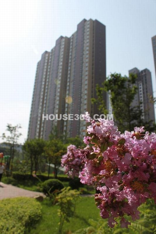 缤纷南郡园区实景图2012.09.03） 