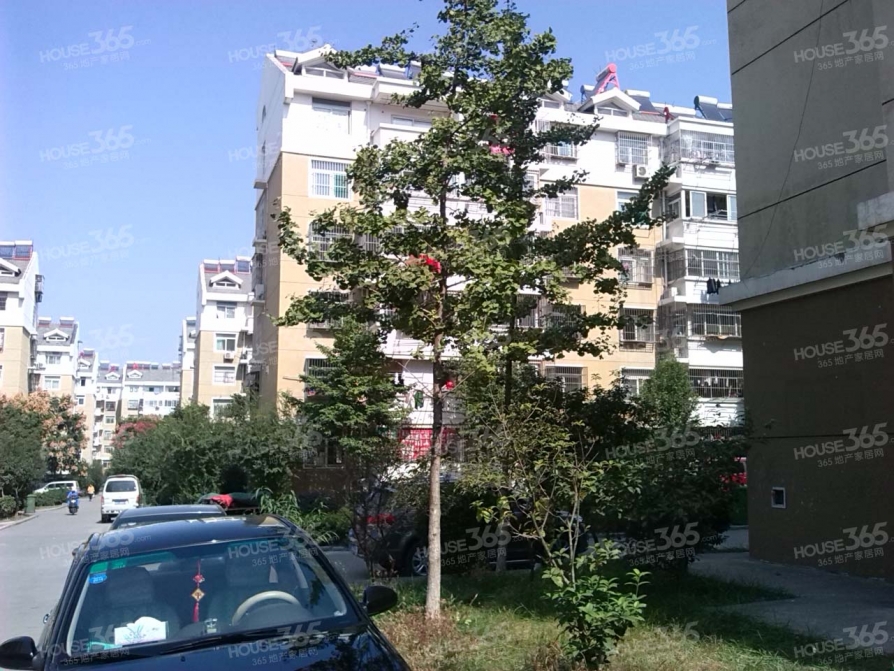 合肥二手房 合肥二手房出售 高新区小区 科技园小区 香樟花园 高新区