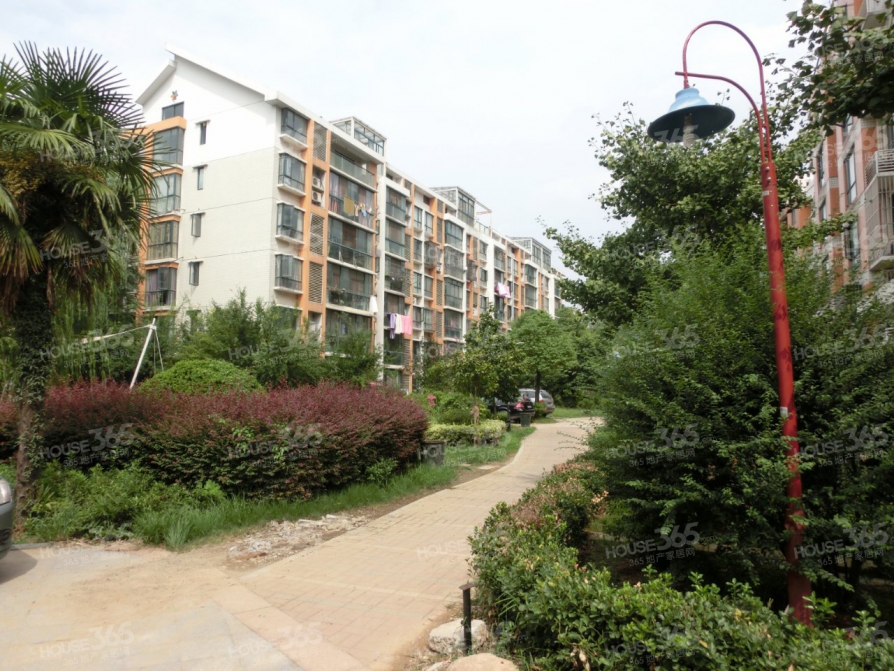 浦口区顶山街道丽都雅苑80.00㎡毛坯3室1厅